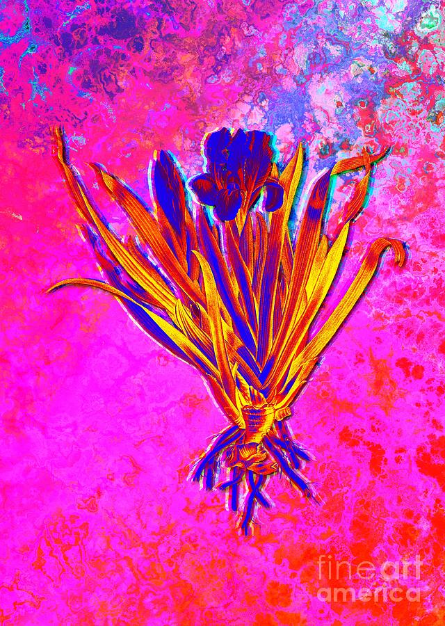 Acid Neon Crimean Iris Botanical Art N.0837 Painting