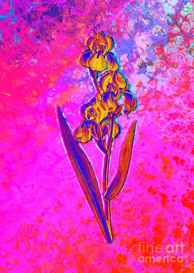 Acid Neon Dalmatian Iris Botanical Art N.0569 Painting