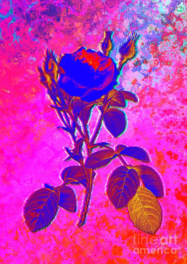 Acid Neon Double Moss Rose Botanical Art n.0345 Painting by Holy Rock Design