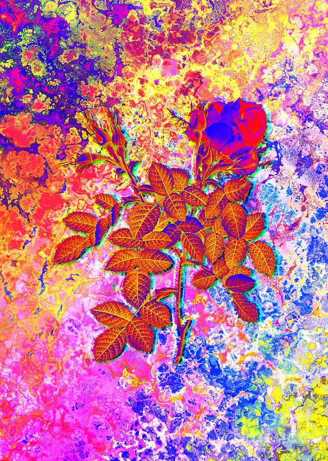 Acid Neon Dwarf Damask Rose Botanical Art N.0117 Painting