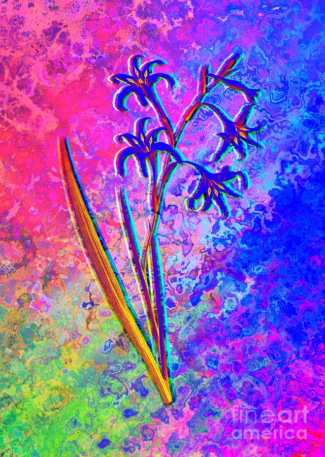 Acid Neon Gladiolus Cuspidatus Botanical Art N.0493 Painting