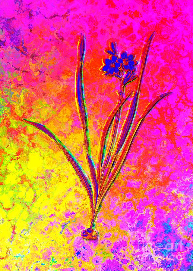 Acid Neon Gladiolus Lineatus Botanical Art n.0361 Painting by Holy Rock Design