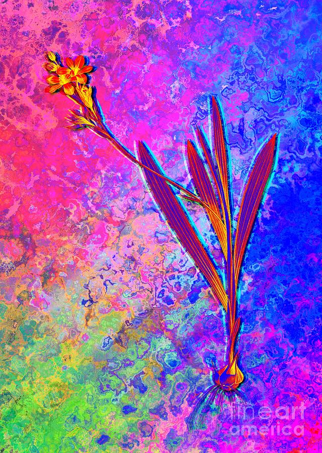 Acid Neon Gladiolus Mucronatus Botanical Art N.0585 Painting