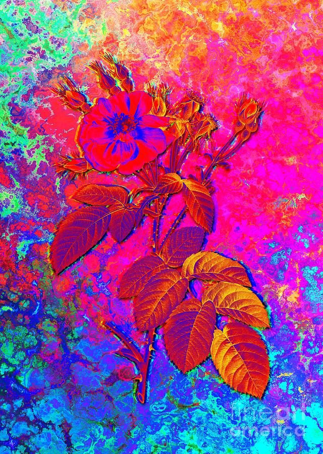 Acid Neon Harsh Downy Rose Botanical Art n.0353 Painting by Holy Rock Design