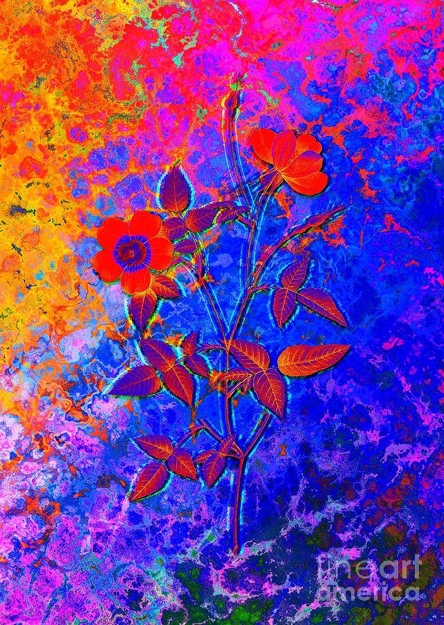 Acid Neon Indica Stelligera Rose Botanical Art N.0499 Painting
