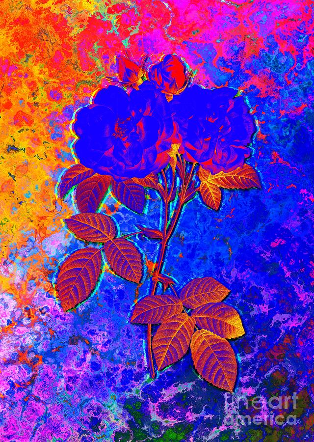 Acid Neon Italian Damask Rose Botanical Art N.0409 Painting
