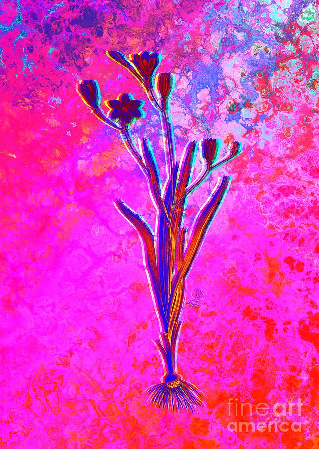Acid Neon Ixia Bulbifera Botanical Art N.0867 Painting