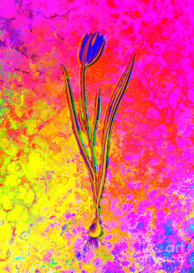 Acid Neon Lady Tulip Botanical Art N.0425 Painting
