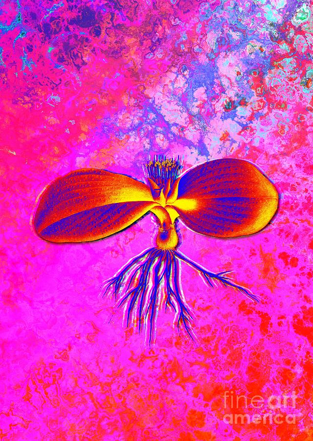 Acid Neon Massonia Pustulata Botanical Art N.0789 Painting