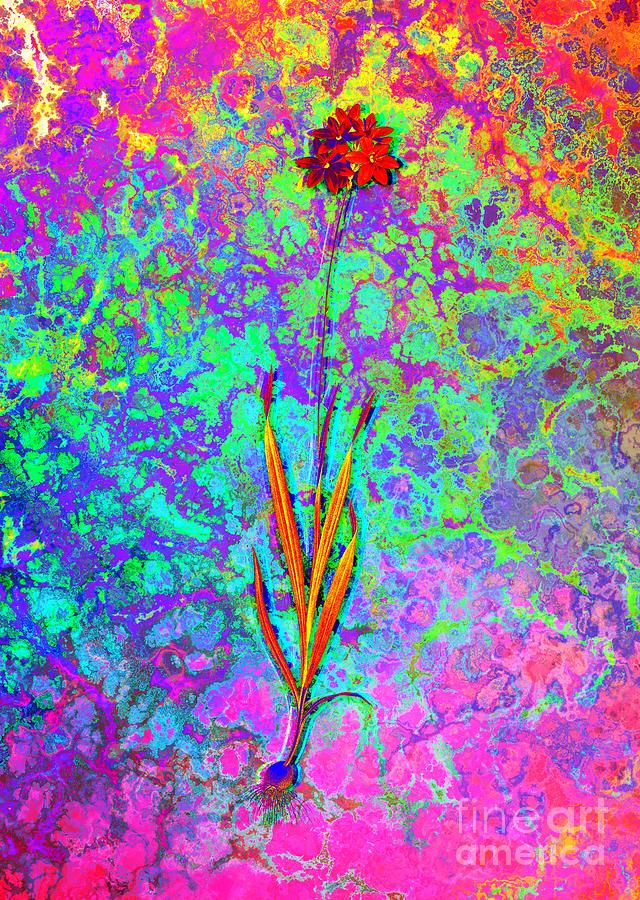 Acid Neon Orange Ixia Botanical Art N.0279 Painting