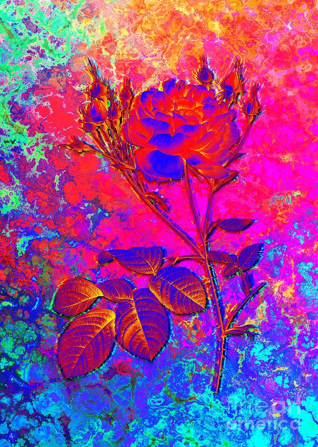 Acid Neon Pink Cumberland Rose Botanical Art n.0359 Painting by Holy Rock Design