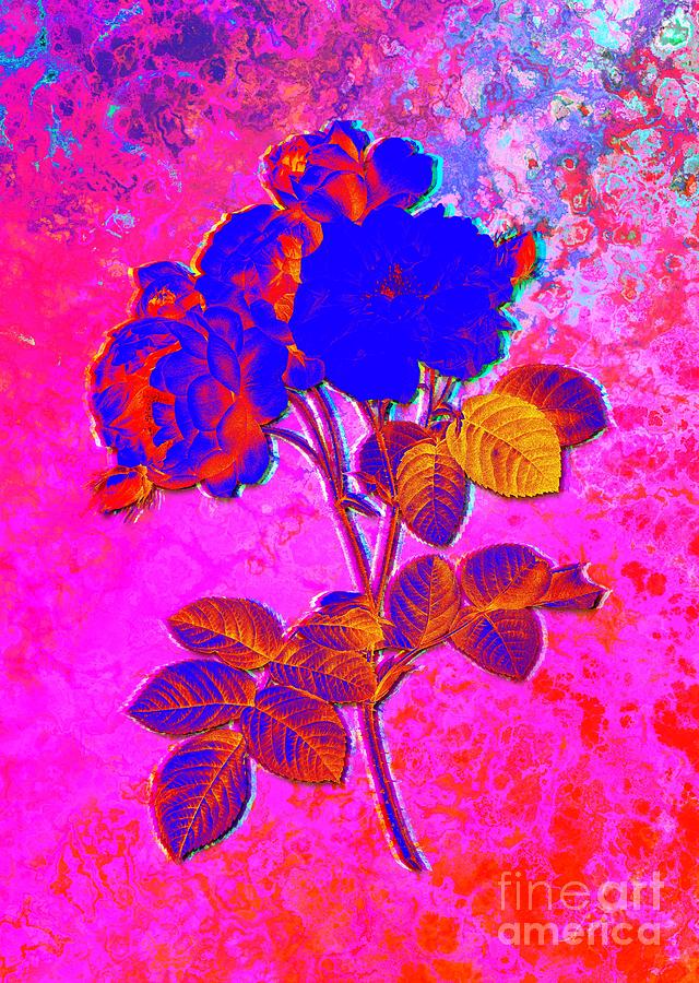 Acid Neon Pink Damask Rose Botanical Art N.0329 Painting
