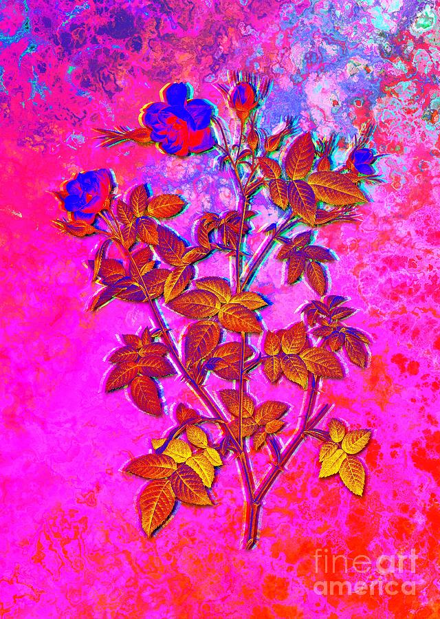 Acid Neon Pink Flowering Rosebush Botanical Art N.0799 Painting