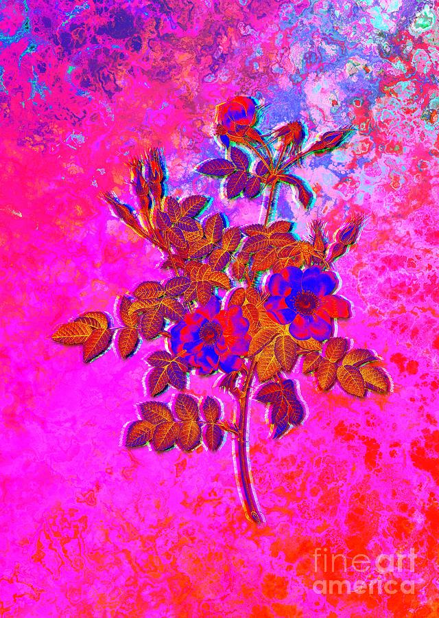Acid Neon Pink Rosebush Bloom Botanical Art N.0731 Painting