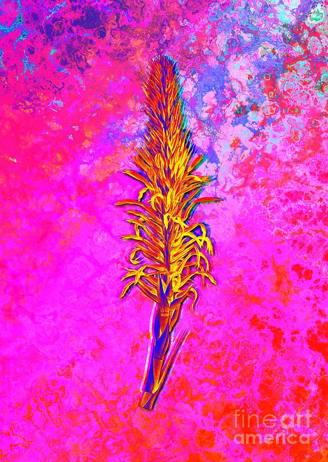 Acid Neon Pitcairnia Latifolia Botanical Art N.0759 Painting