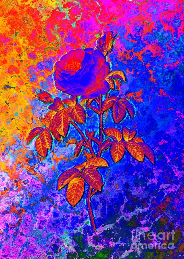 Acid Neon Provence Rose Bloom Botanical Art N.0805 Painting