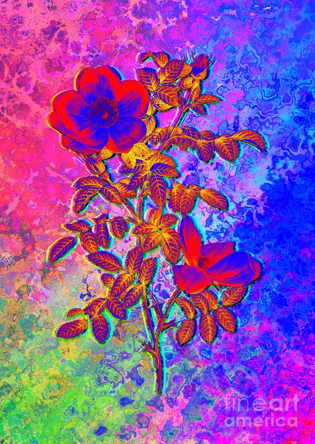 Acid Neon Red Sweetbriar Rose Botanical Art N.0819 Painting