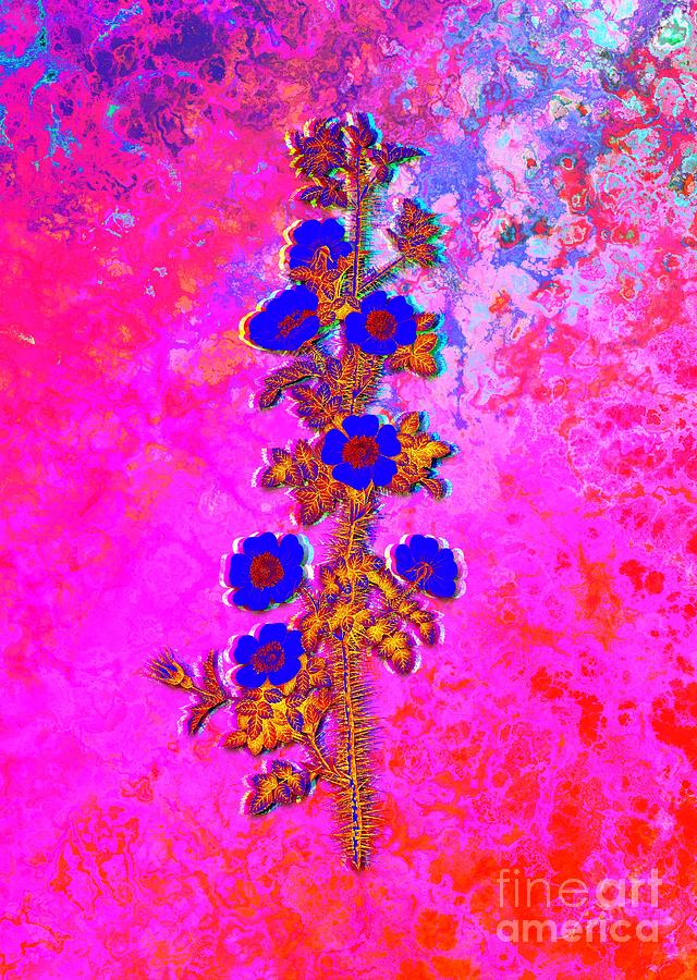 Acid Neon Scotch Rose Bloom Botanical Art N.0537 Painting