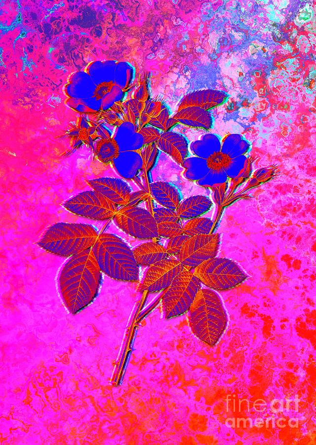 Acid Neon Short Styled Field Rose Botanical Art N.0555 Painting