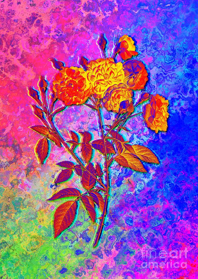 Acid Neon Ternaux Rose Bloom Botanical Art n.0313 Painting by Holy Rock Design