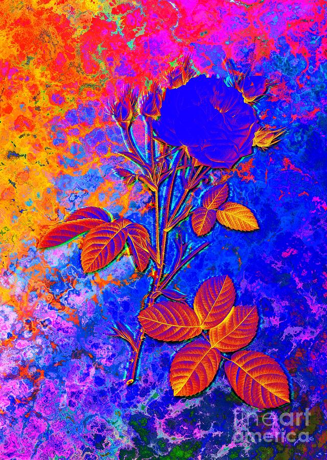 Acid Neon White Provence Rose Botanical Art N.0631 Painting