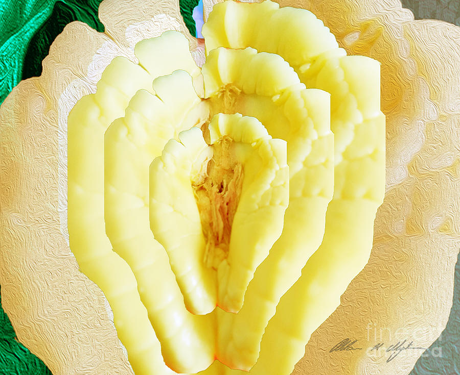 Ackee in Bloom 10 Digital Art by Aldane Wynter