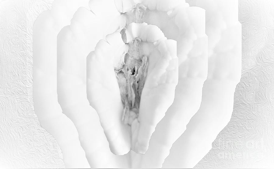 Ackee in Bloom 15 Digital Art by Aldane Wynter