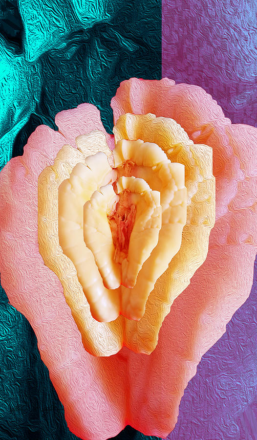 Ackee in Bloom 3 Digital Art by Aldane Wynter