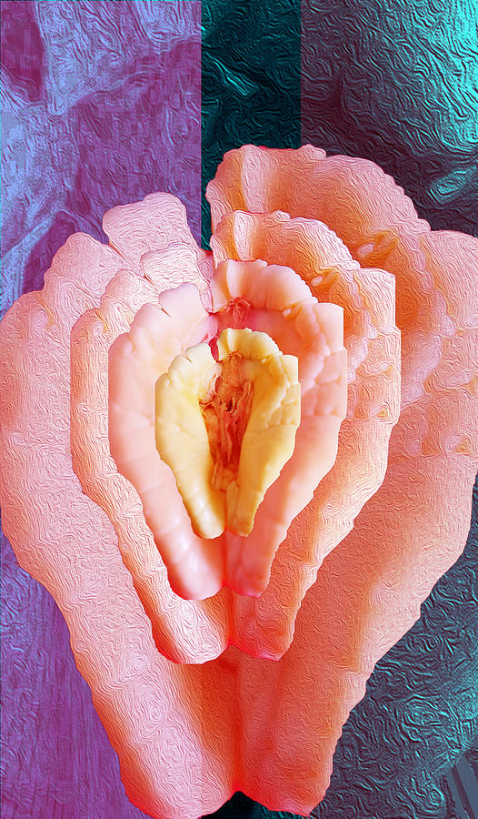 Ackee in Bloom 8 Digital Art by Aldane Wynter