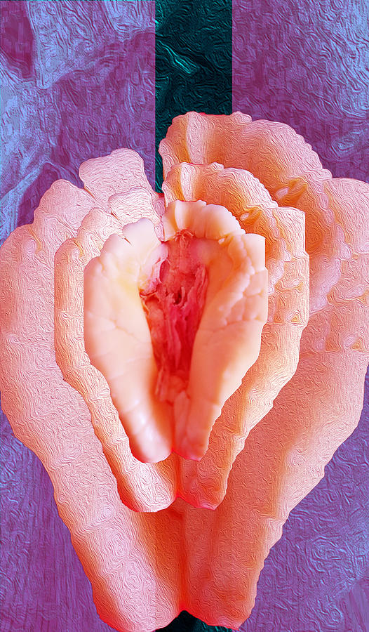 Ackee in Bloom 9 Digital Art by Aldane Wynter
