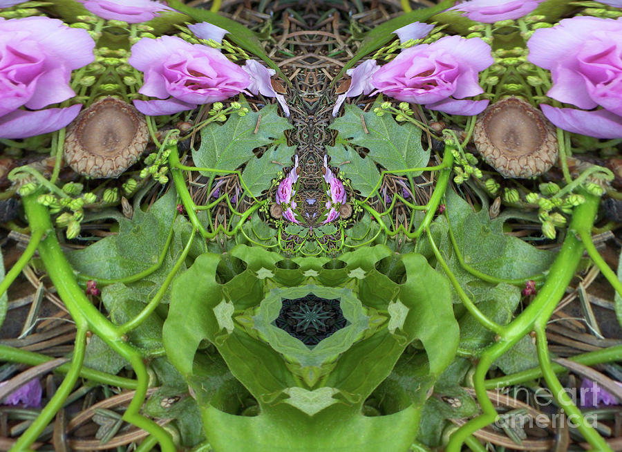 Acorn and Blossom Kaleidoscope -2 Digital Art by Charles Robinson