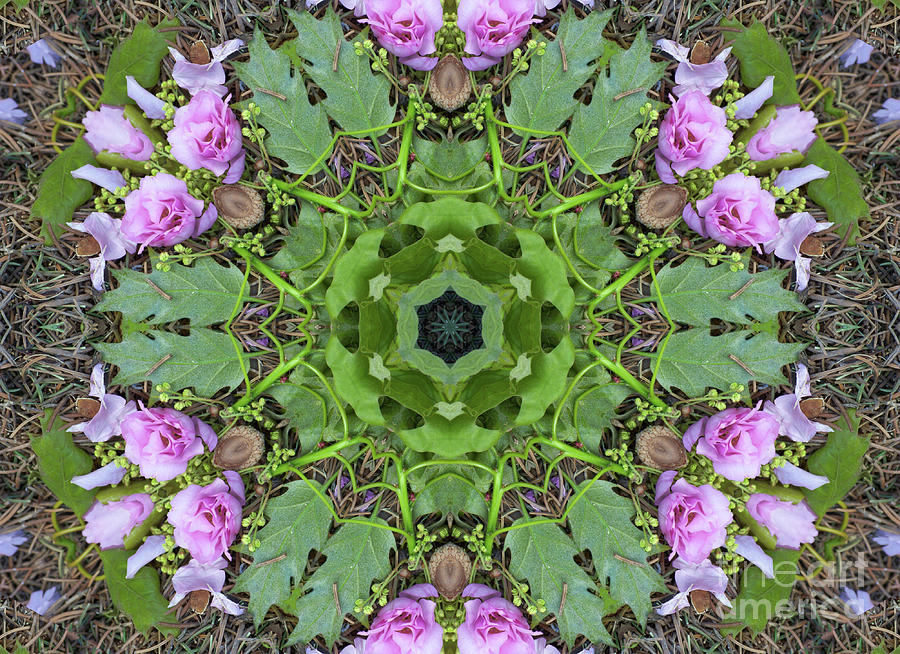 Blossoms and Acorn Mirrored Kaleidoscope Digital Art by Charles Robinson