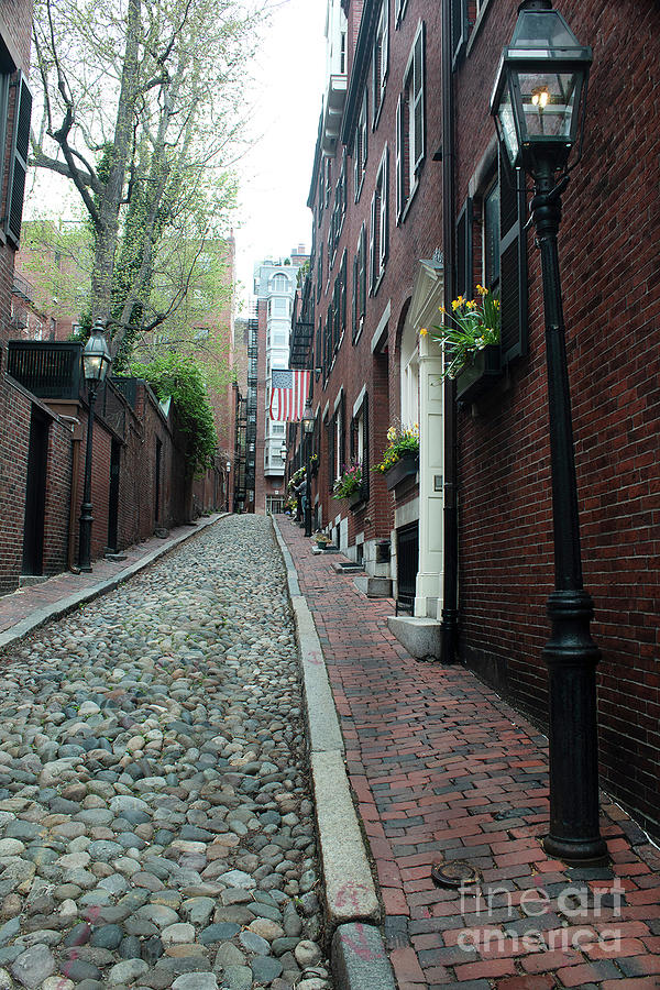 Acorn Street Photograph by Ivete Basso Photography