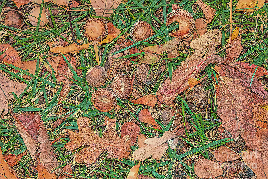 Acorns and Autumn Leaves Photograph by Susan Vineyard