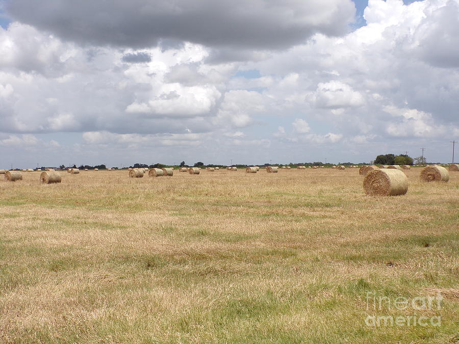 Acres of Fresh Hay Bales-four Photograph by Joney Jackson