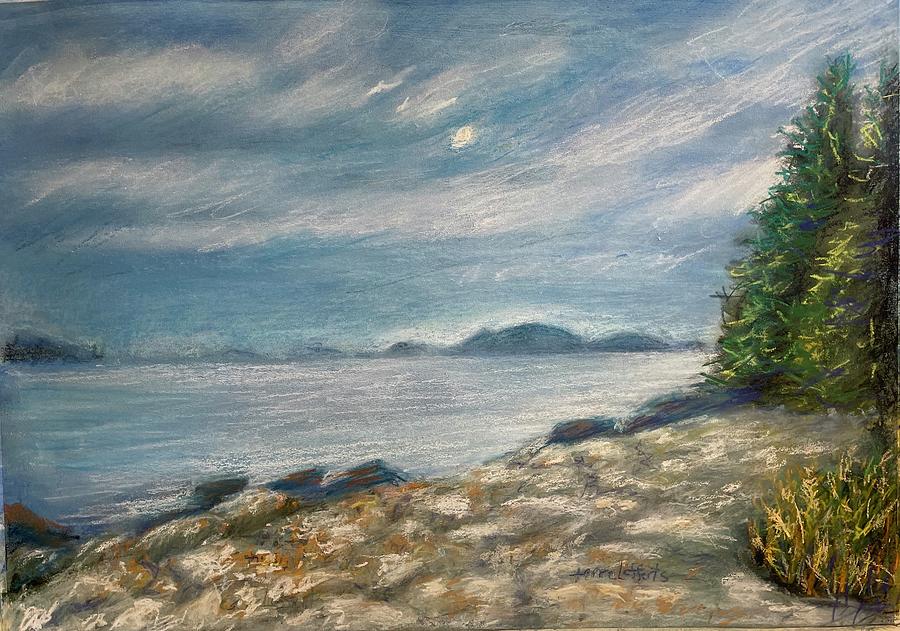 Across Frenchman Bay Painting by Terre Lefferts