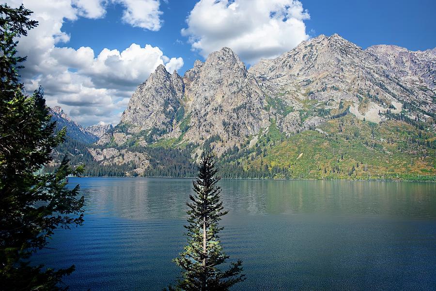 Mountain Photograph - Across Jenny Lake 24 by Marty Koch