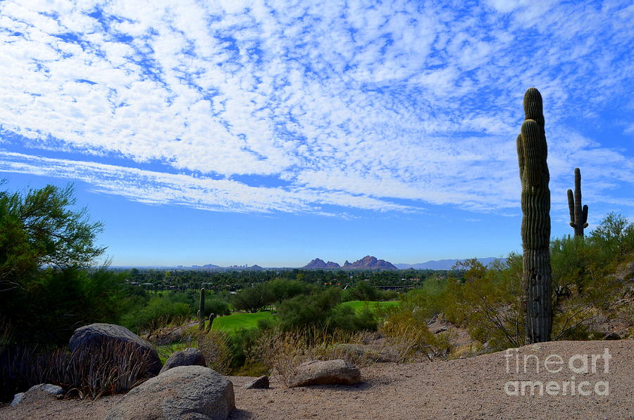 Across The Phoenix Valley Photograph
