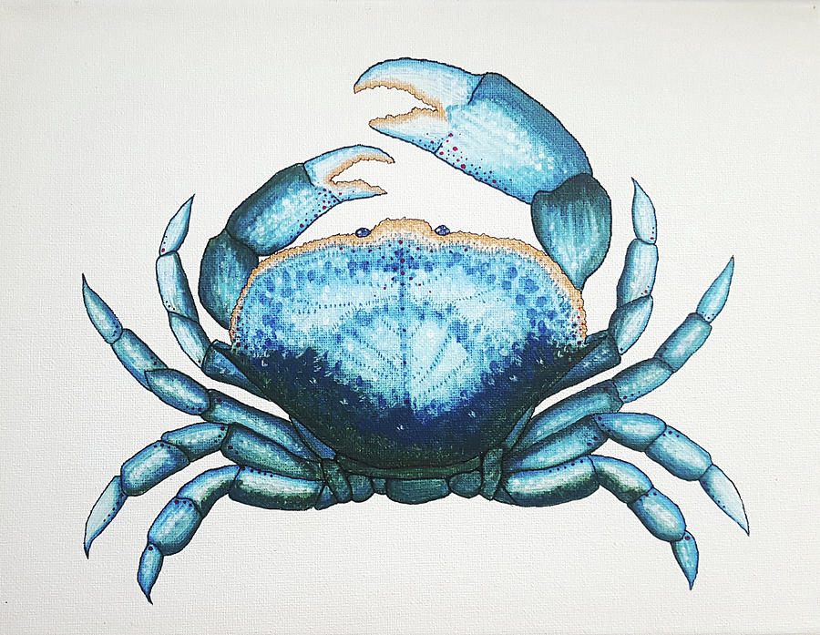 Acrylic Blue Crab Painting by Jessica Farley | Fine Art America