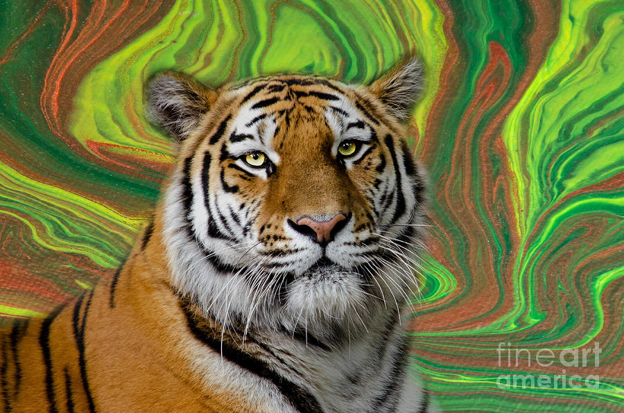 Tiger Mixed Media - Acrylic Pour Tiger by Elisabeth Lucas