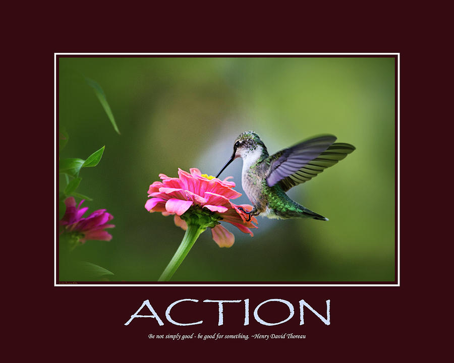 Action Inspirational Motivational Poster Art Photograph by Christina Rollo