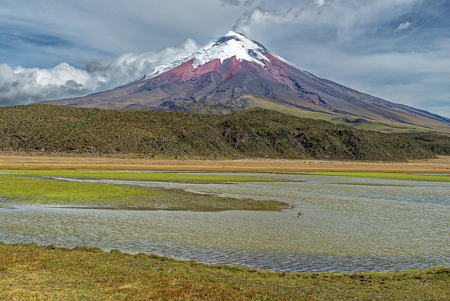 Active Cotopaxi volcano and Limpiopungo marsh in foreground Photograph by Henri Leduc