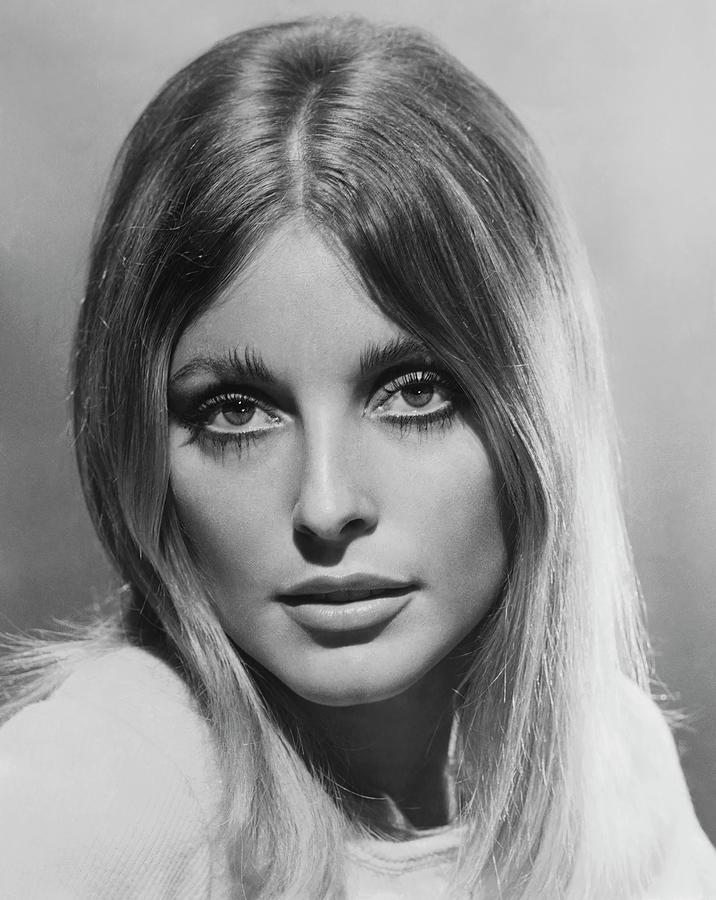 Actress Sharon Tate 1967 Photograph by 20th Century Fox - Fine Art America