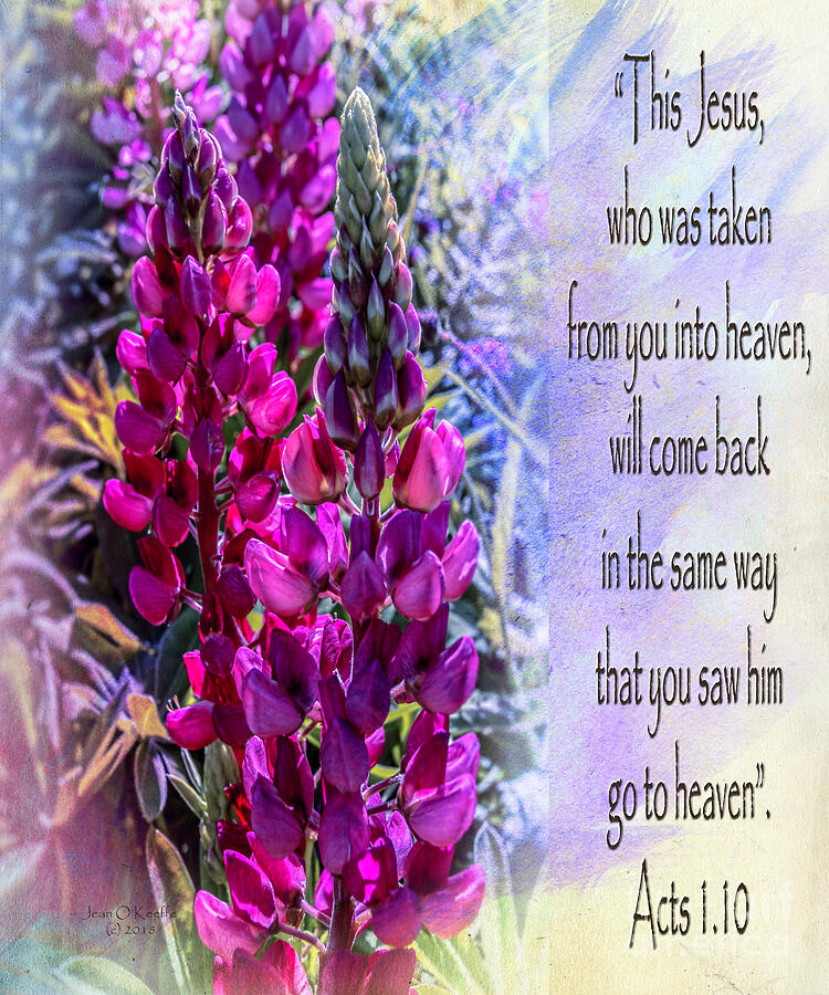 Acts 1.10 Digital Art by Macro Abundance Art Acts 1.10 Digital Art by Macro Abundance Art