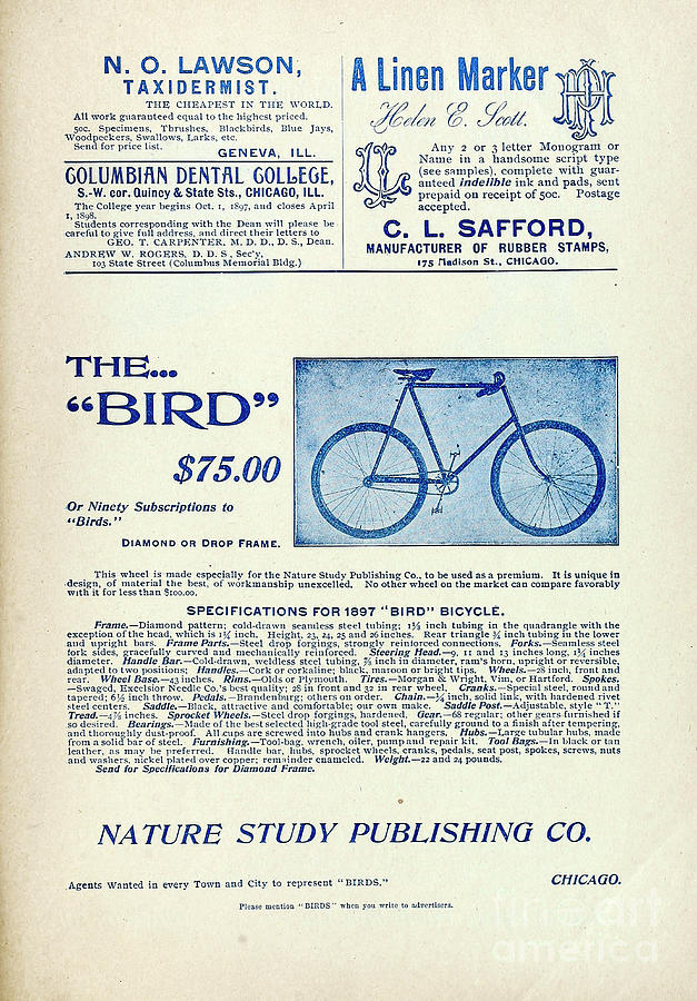 Ad For The Bird Bicycle From 1897 C1 Photograph