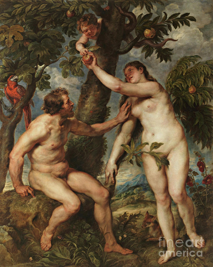 Adam and Eve - CZAAE Painting by Peter Paul Rubens