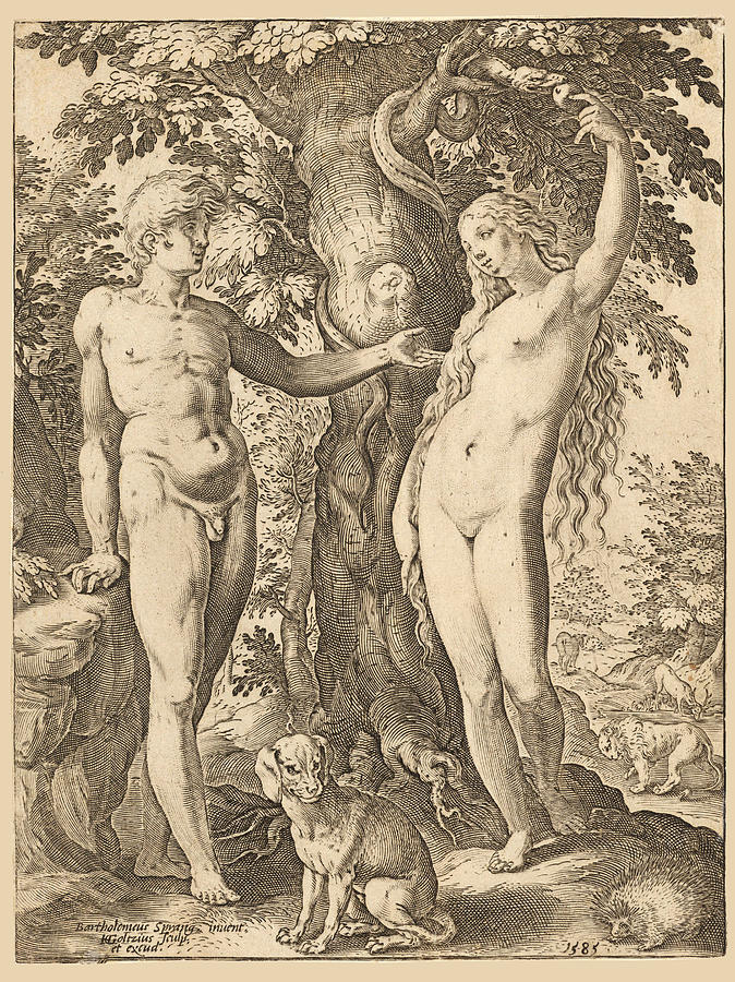 Adam and Eve Drawing by Hendrik Goltzius