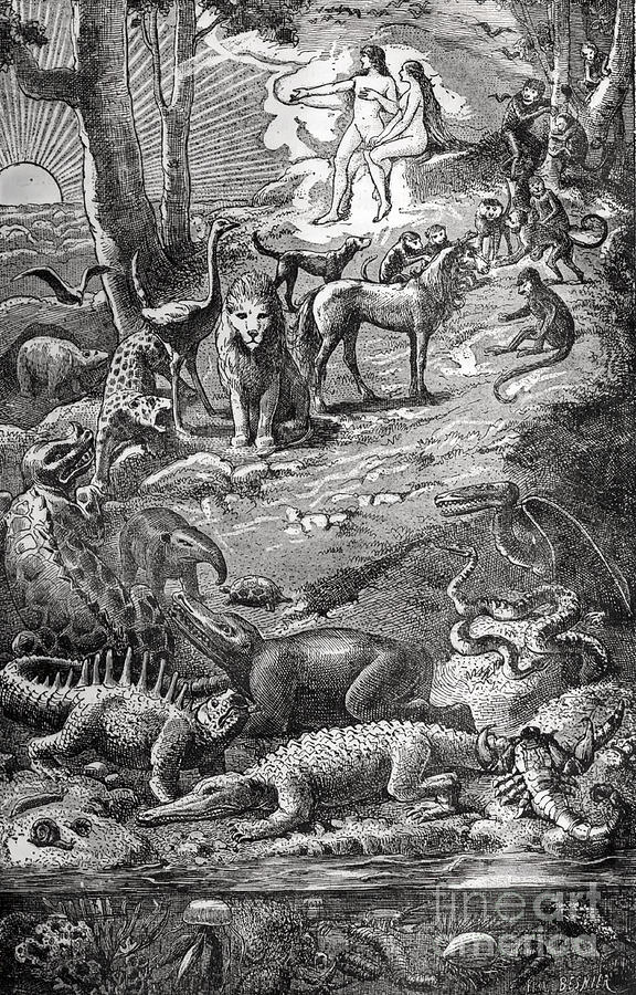 Adam and Eve with Dinosaurs 1886 Drawing by Science Source