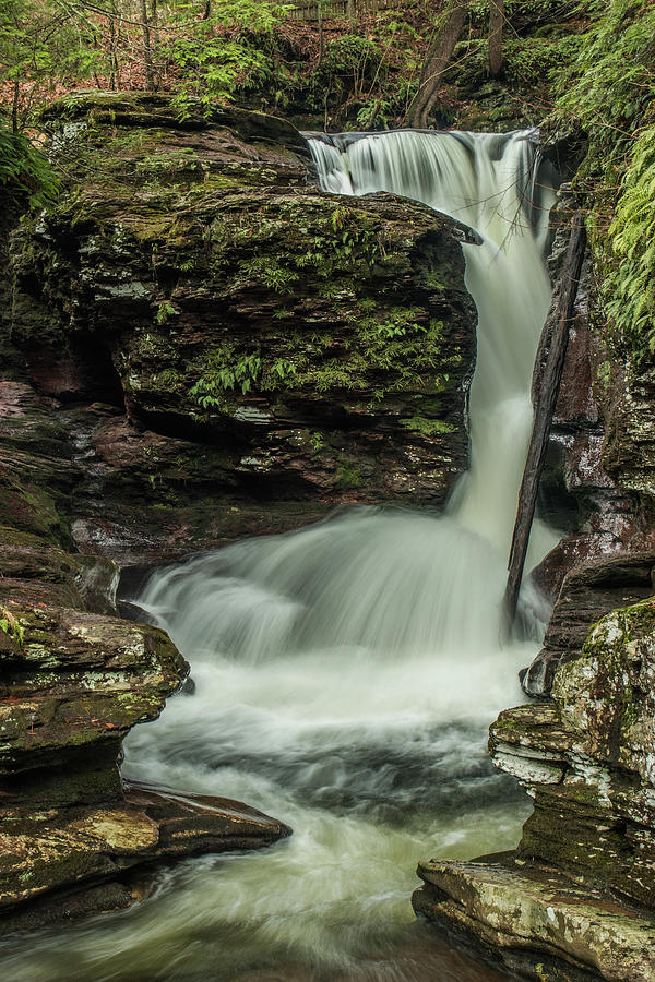 Adams Falls Photograph By Michael Kinney - Fine Art America