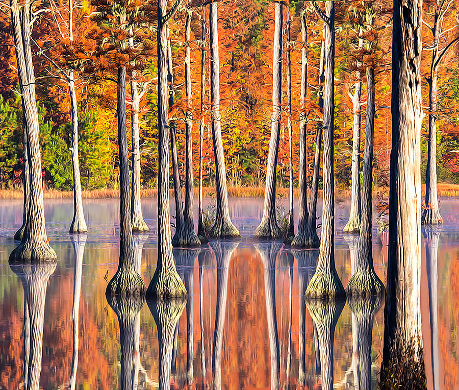 Adams Mill Pond Reflection Photograph by Jim Dollar